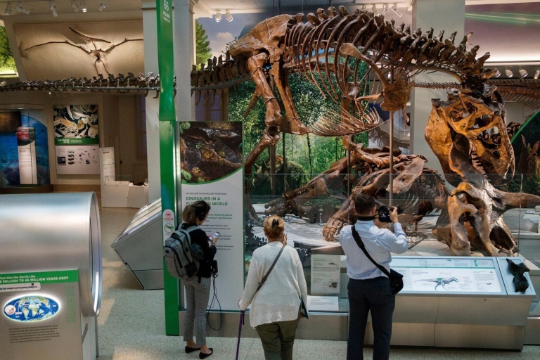 Washington DC: Tour para familias del Museo de Historia Natural