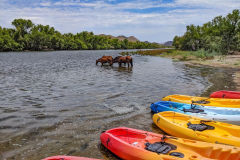 Phoenix and Mesa: Kayaking Trip to Granite Reef