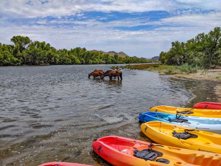Phoenix and Mesa: Kayaking Trip to Granite Reef
