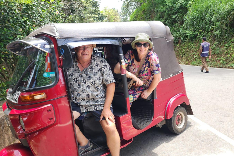 Kandy: Tuk-Tuk Sights, Culture, Shopping & Treatment
