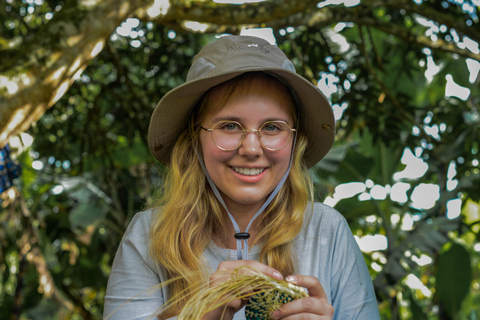 Uganda 10-tägige Wild- und Primaten-Safari.