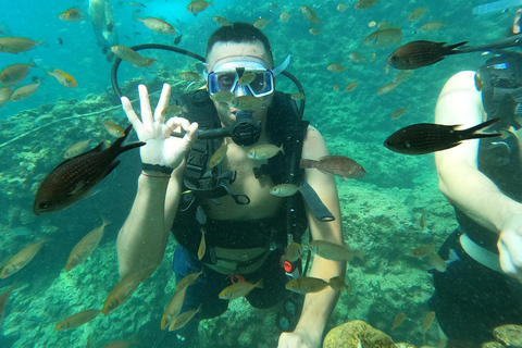 Unforgettable Diving Experience: From Beginners to Advanced