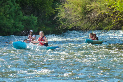 Phoenix: Self-Guided Kayaking Trip to Foxtail