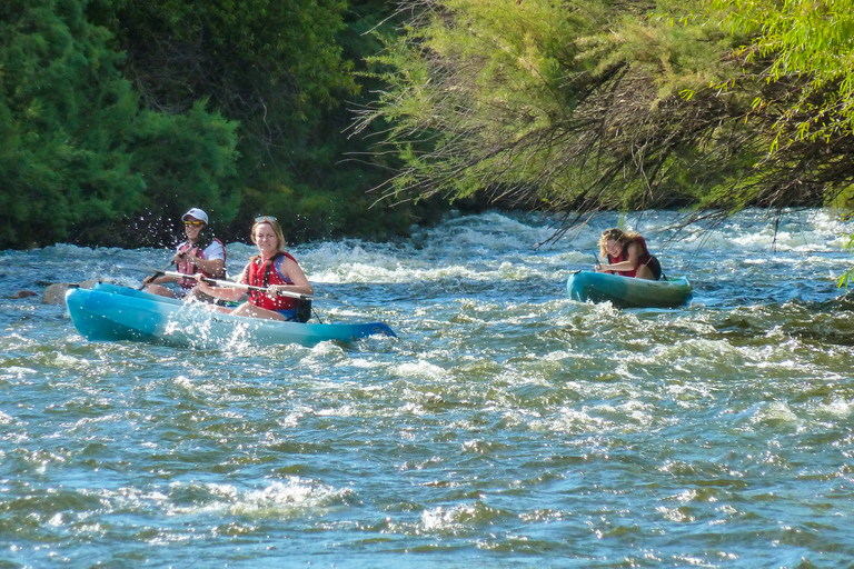 Phoenix: Self-Guided Kayaking Trip to Foxtail