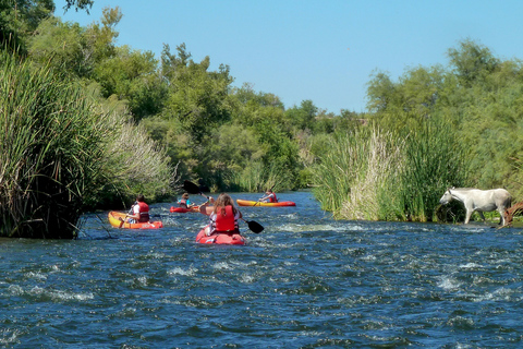 Phoenix: Self-Guided Kayaking Trip to Foxtail