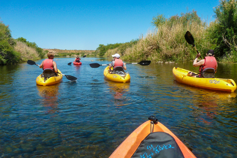 Phoenix: Self-Guided Kayaking Trip to Foxtail