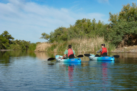 Phoenix: Self-Guided Kayaking Trip to Foxtail