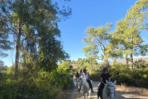 Side: Horse Safari and Family Activity Park Entry 2-Hour Extended Horse Safari Experience