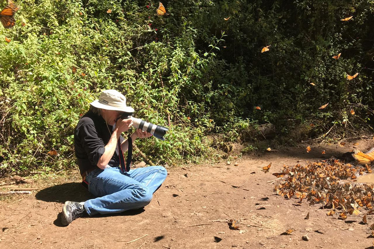 Från Mexico City: 7-dagars monarkfjärilsresaFrån Mexico City: 7-dagars tur med monarkfjärilar