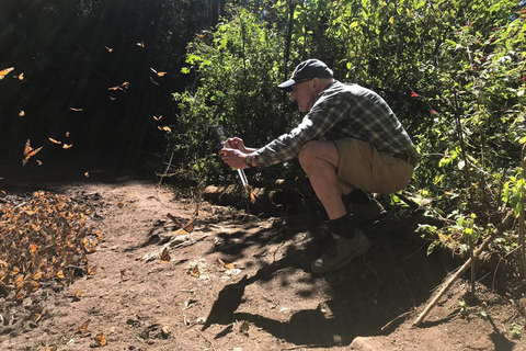 Från Mexico City: 7-dagars monarkfjärilsresaFrån Mexico City: 7-dagars tur med monarkfjärilar