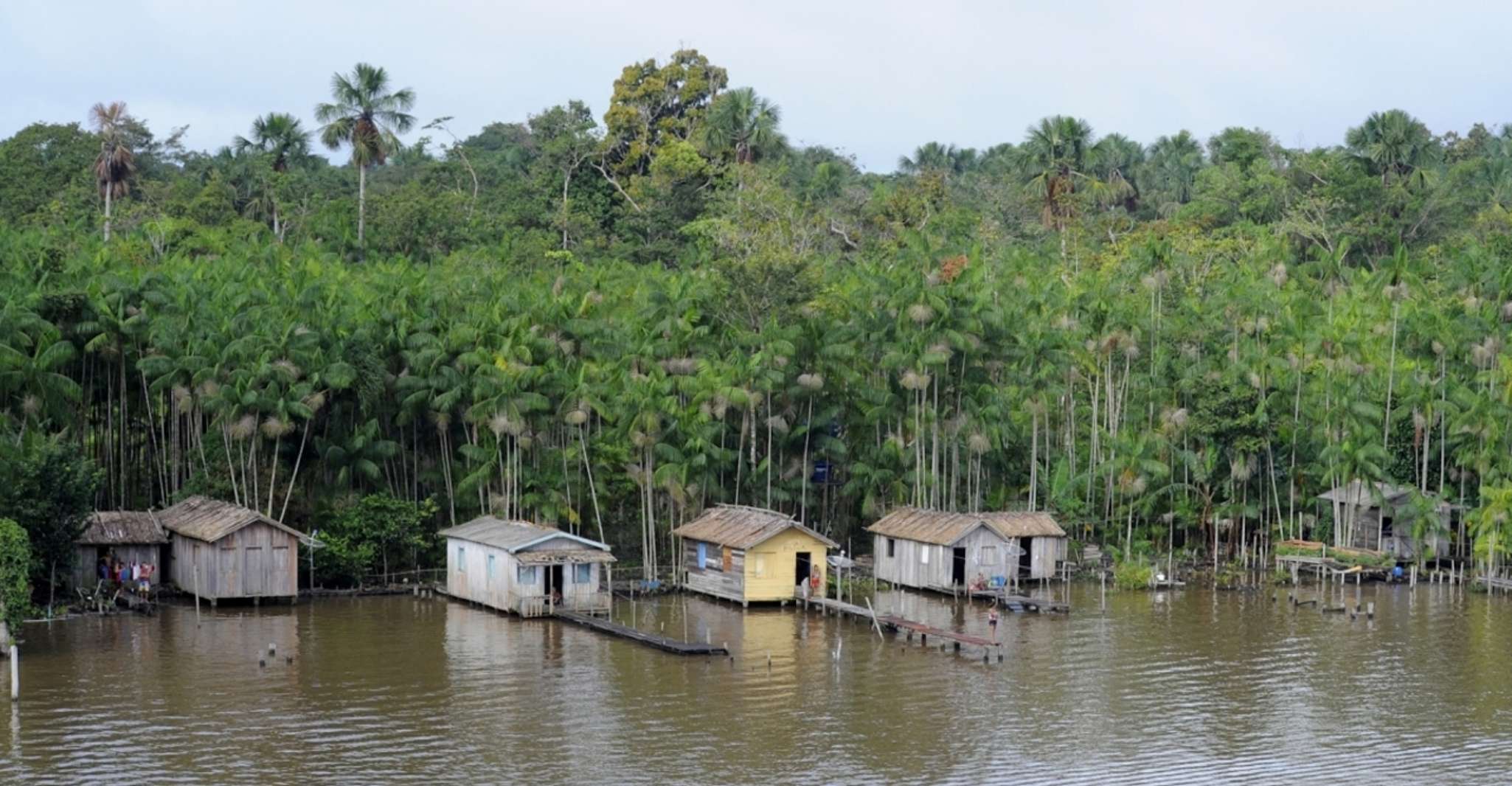 Belém: Full-Day Furos & Igarapé Boat Tour with Lunch