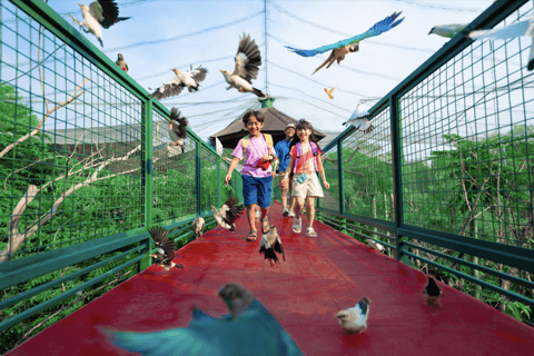 Jakarta: Bird Land Ancol Tickets