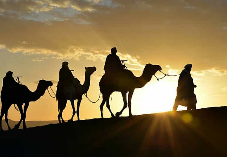 Camel Ride and Flamingo River Tour