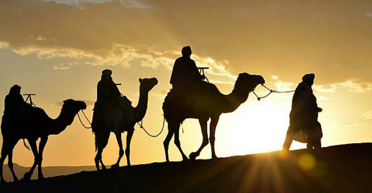 Agadir Camel Ride & Flamingo River Tour