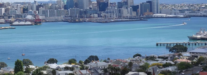 Auckland : Excursion d'une journée du bateau au rivage