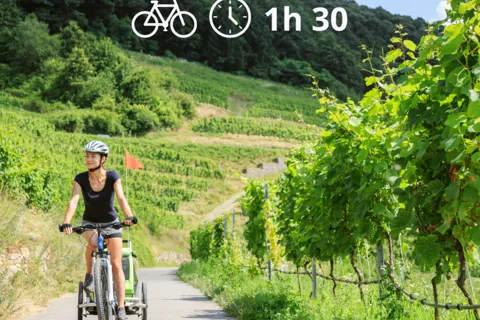 Perugia: Bike Tour and Wine Tasting in the Vineyards