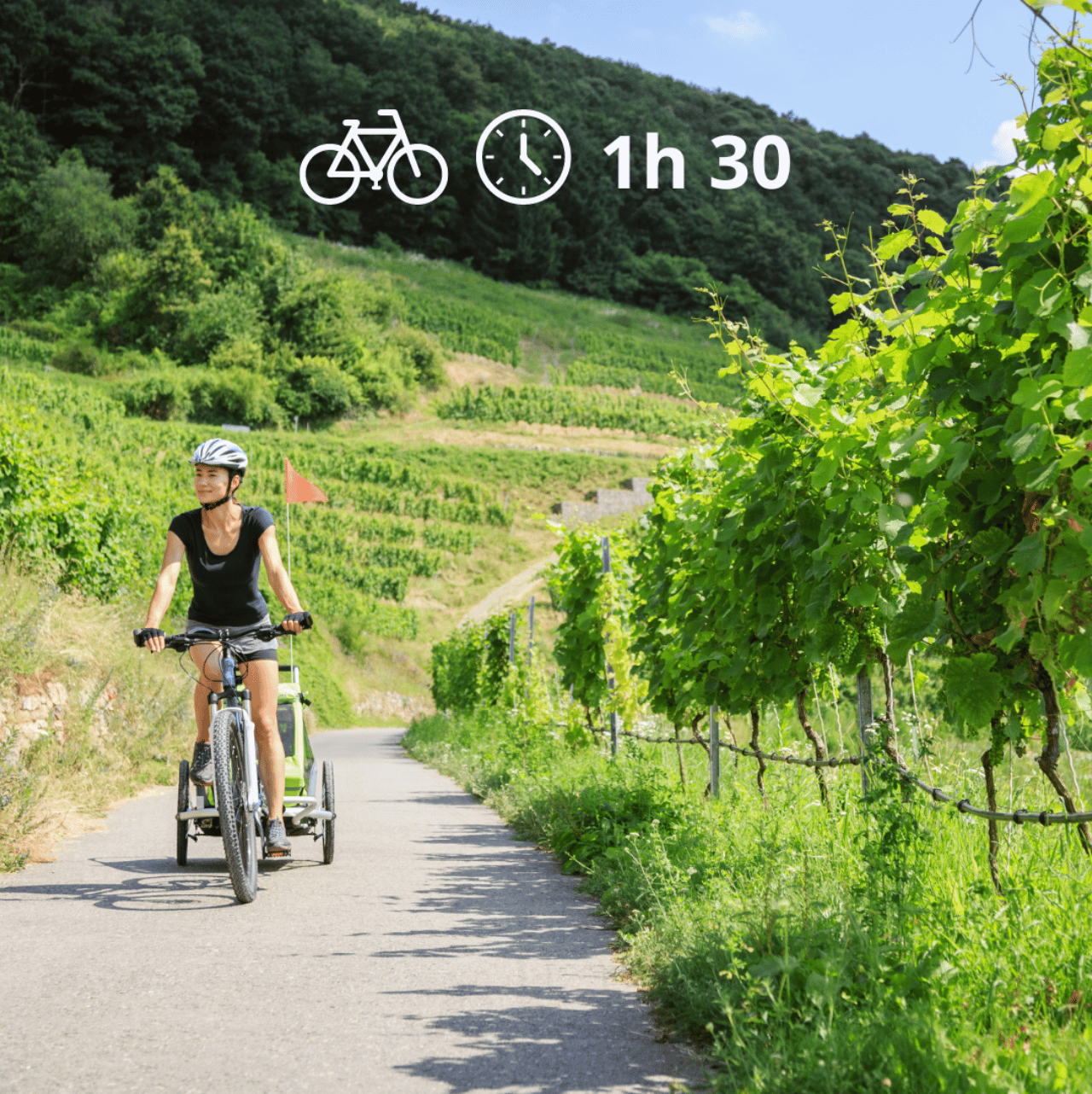 Perugia: Radtour in den Weinbergen und Weinprobe
