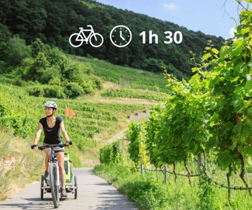 Perugia: Passeio de bicicleta e prova de vinhos nas vinhas