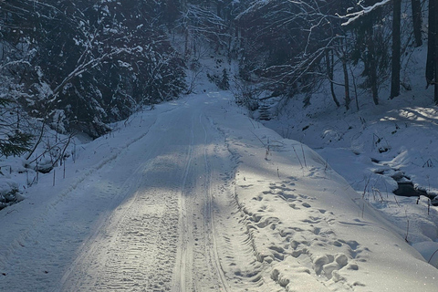 ATV or Snowmobile ride in the mountains from Bucharest
