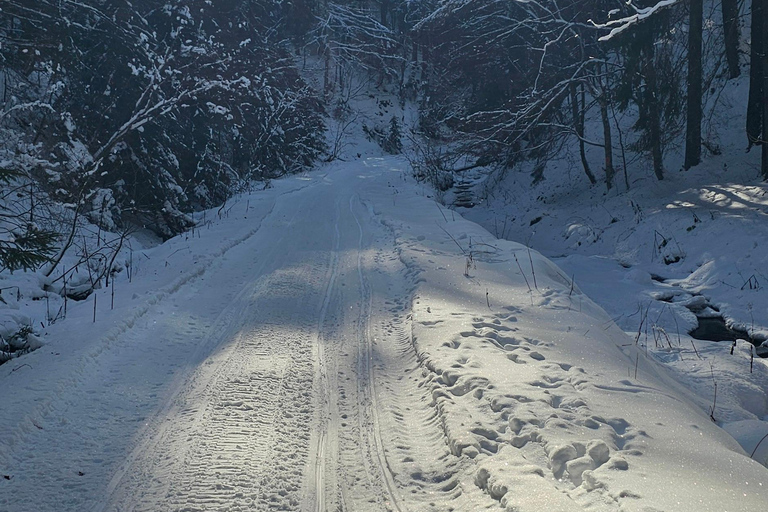 ATV or Snowmobile ride in the mountains from Bucharest