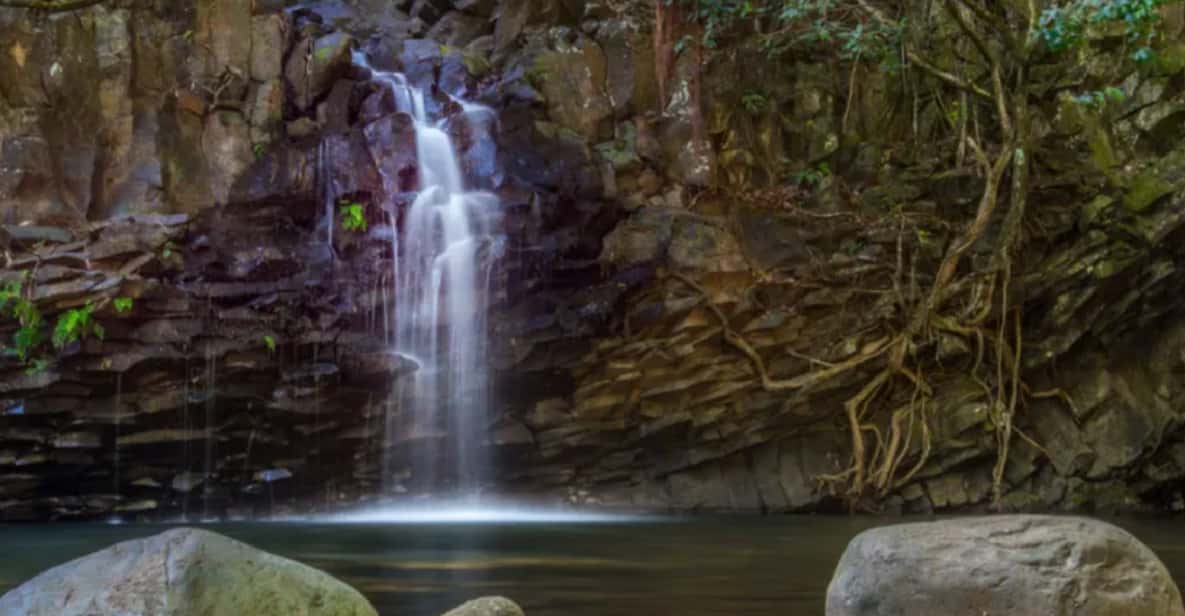 Maui: 3-hour Rainforest & Waterfall Adventure for Families