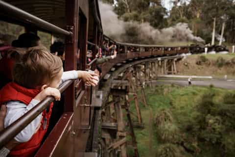 Melbourne: Puffing Billy, Moonlit Sanctuary, & Penguins Tour