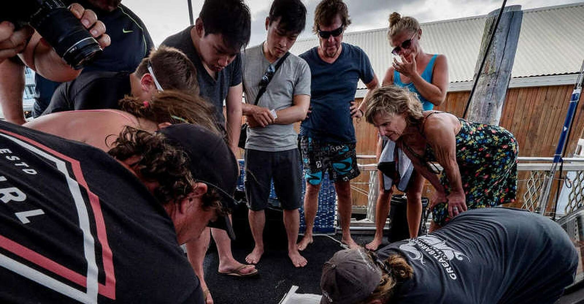Cairns, 2-Day Great Barrier Reef Dive and Snorkel Boat Trip - Housity