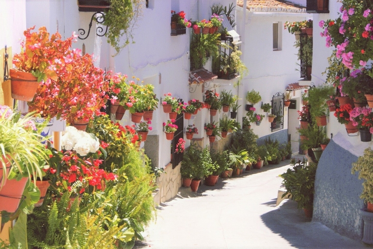 Vanuit Málaga: El Saltillo-kloof en wandeltocht door White Village