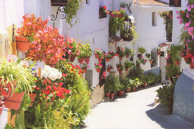 Von Málaga: El Saltillo Gorge und White Village Wandertour