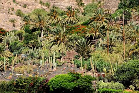 Las Palmas: Biljett till Oasis Wildlife Fuerteventura