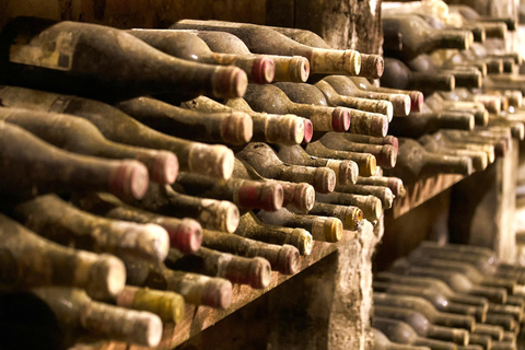 Florenz: Tolle Chianti-Wein- und Olivenöl-Tour mit MittagessenWein und Olivenöl – ein echtes Erlebnis