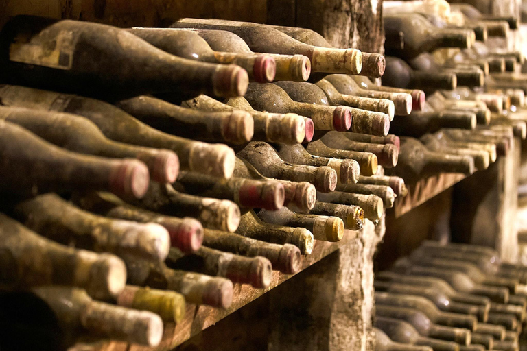 Florenz: Tolle Chianti-Wein- und Olivenöl-Tour mit MittagessenWein und Olivenöl – ein echtes Erlebnis