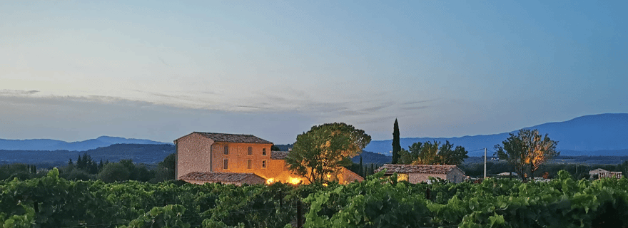 Saint-Didier: visite d'un domaine viticole & dégustation de vins bio