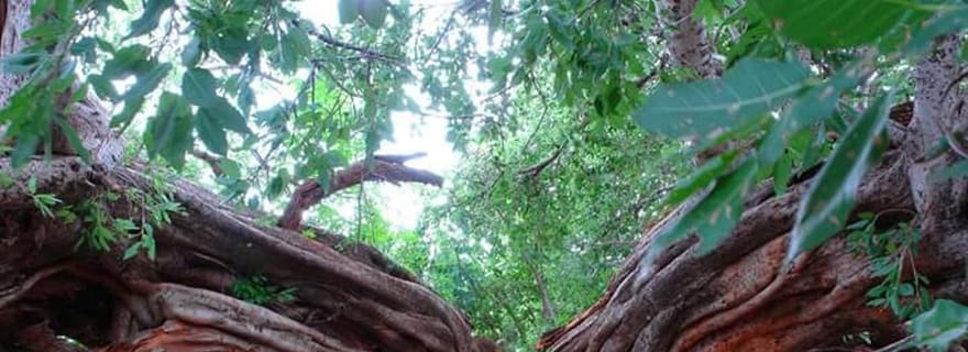 Tour de l'art et de l'artisanat