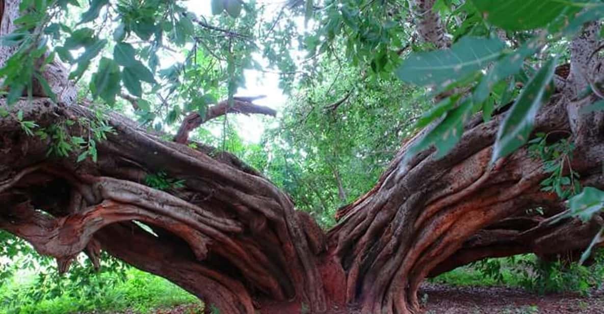 Art & Craft Tour GetYourGuide