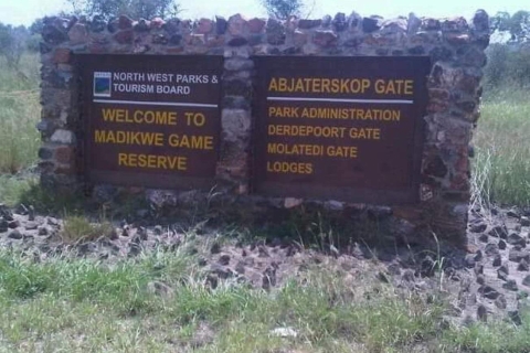 Excursión de un día a la Reserva de Caza de MadikweSafari de los Cinco Grandes en la Reserva de Caza Madikwe