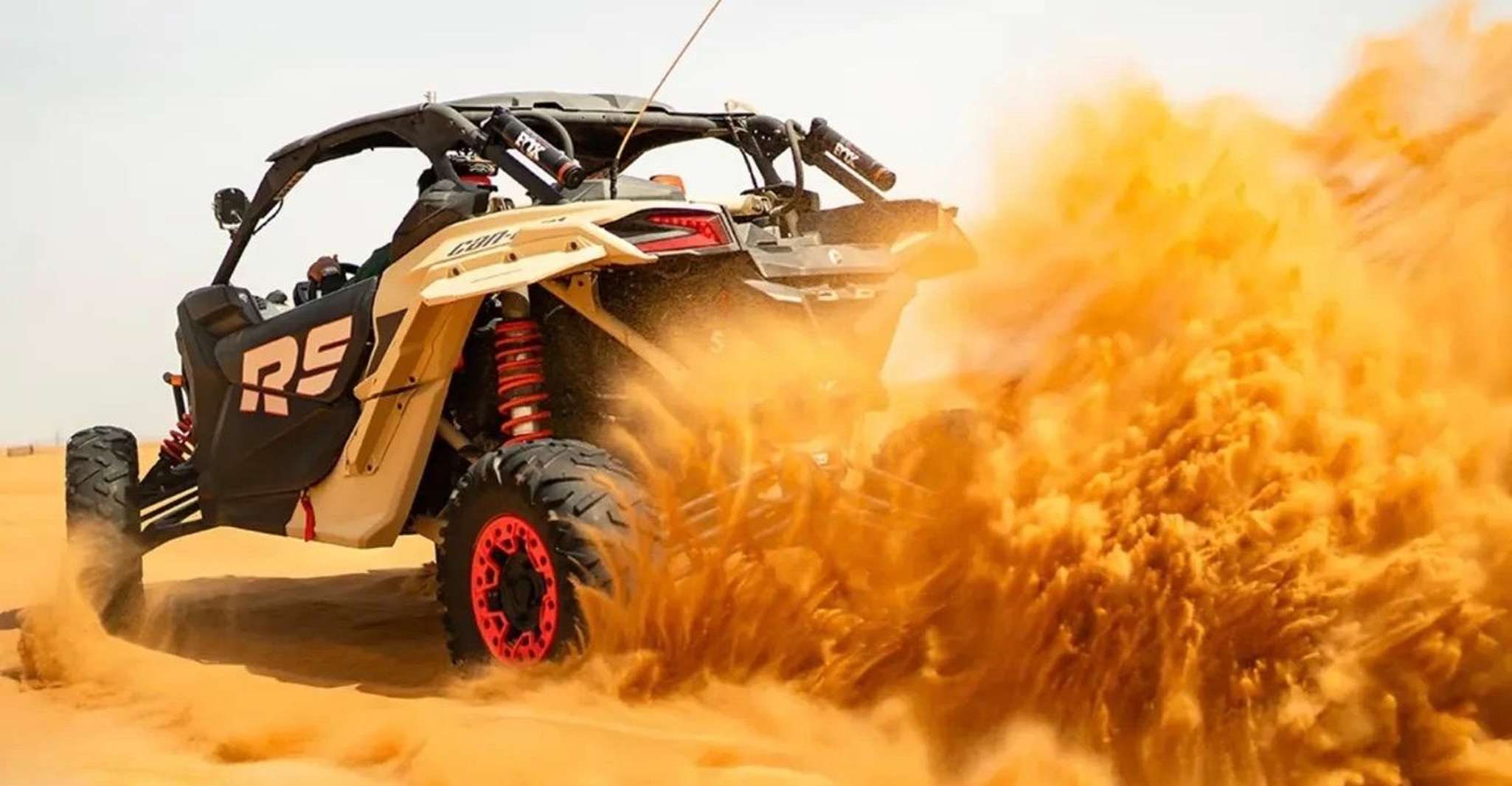 Doha: ATV Quad Bike and Buggy Desert Safari with Camel Ride photo 9