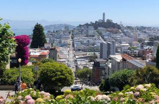 San Francisco: City Highlights Walking Tour