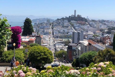San Francisco: City Highlights Walking Tour Private Tour