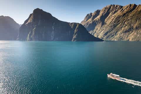 Milford Sound: Cruise, Underwater Observatory, and Lunch