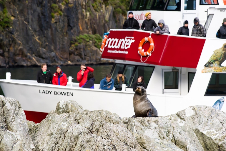 Milford Sound: Cruise, Underwater Observatory, and Lunch 9:30 AM Milford Sound Discover More Cruise with Picnic Lunch
