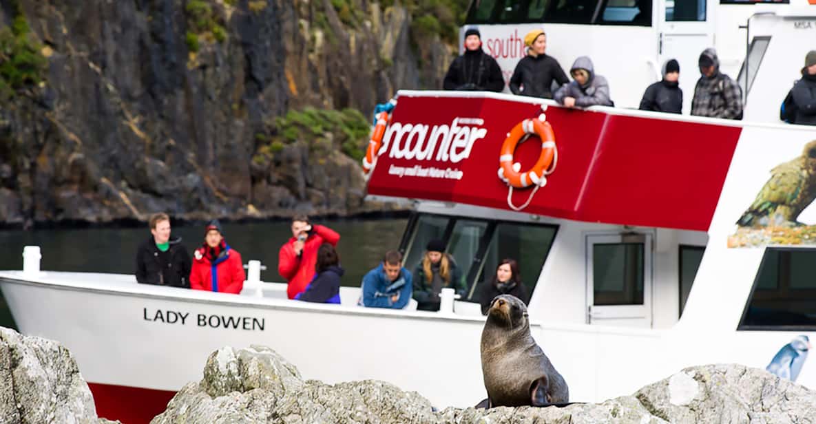 Milford Sound: Cruise, Underwater Observatory, and Lunch