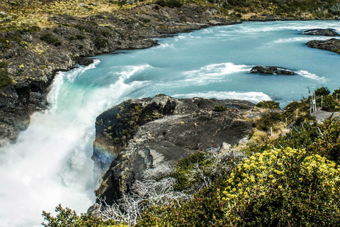 Puerto Natales: Torres del Paine Full Day Tour