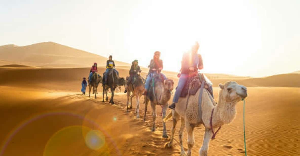Agadir: Sahara Desert Day Trip With Lunch