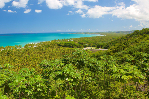 Samaná äventyr: Upplevelse av Rincón Beach och Cayo Levantado