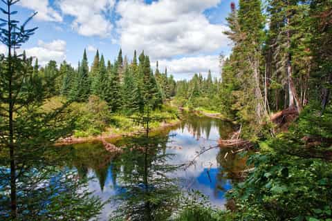 da toronto tour privato dellalgonquin provincial park