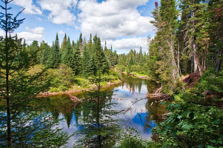 Ab Toronto: Herbstfarben im Algonquin Provincial Park. Foto: GetYourGuide