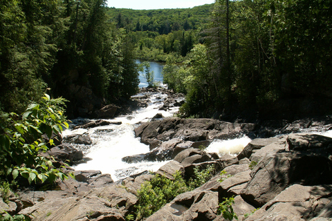 From Toronto: Fall Colours in Algonquin Park