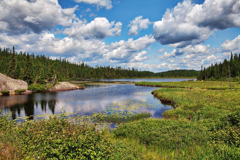 From Toronto: Fall Colours in Algonquin Park