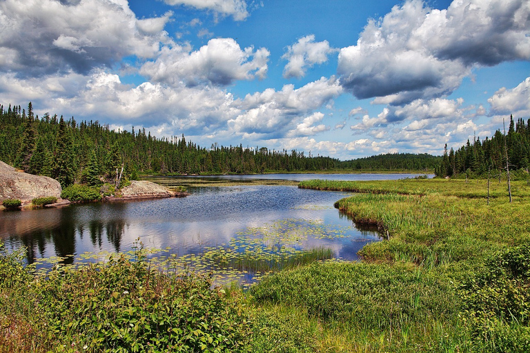 From Toronto: Fall Colours in Algonquin Park